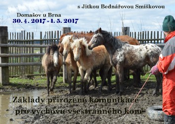 170430-zakady-komunikace-s-konem.jpg