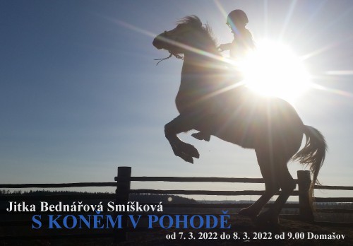 220307-s-konem-v-pohode.jpg