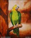 zelený papoušek