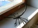 Scorpion2